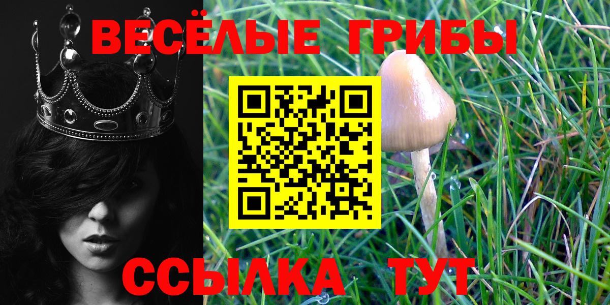 Сальск  Галлюциногенные грибы GOLDEN TEACHER  Вход с VPN 